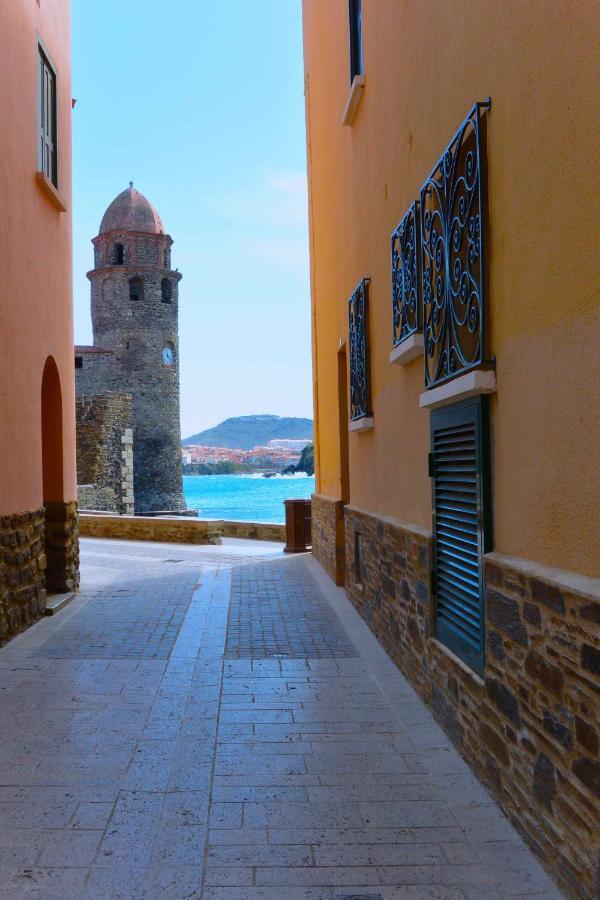 Studio Vue Mer Et Cap Canet-en-Roussillon Luaran gambar